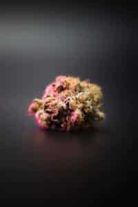 ember dispensary cannabis flower