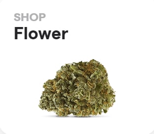 shop cannabis flower in columbia falls mt