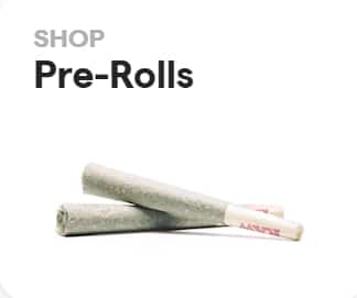 shop pre-rolls in Columbia Falls MT